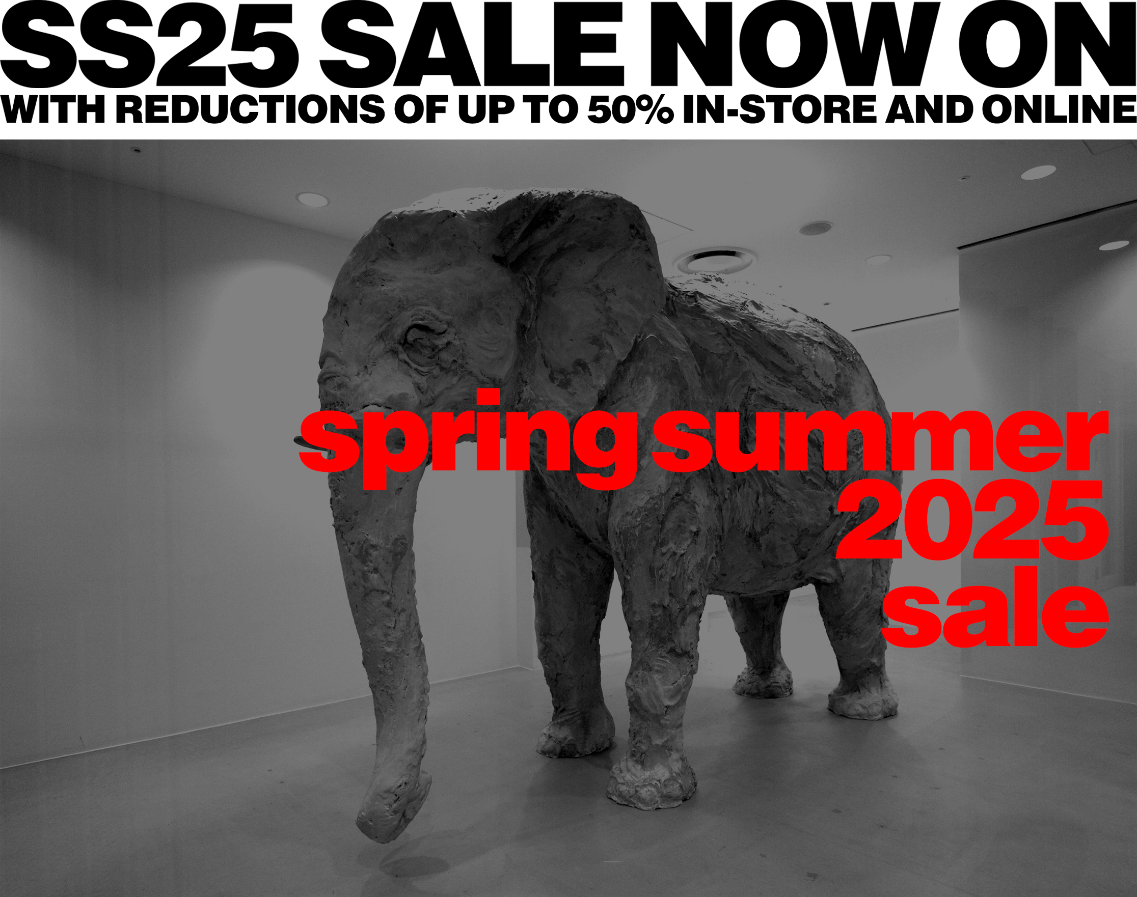 dsmg_ss25_sale_nowon_nofooter.